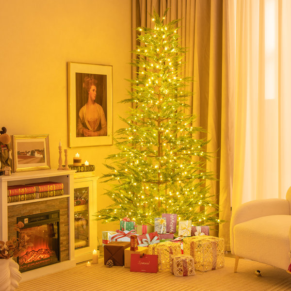 The Holiday Aisle® Lighted Cypress Christmas Tree with Realistic